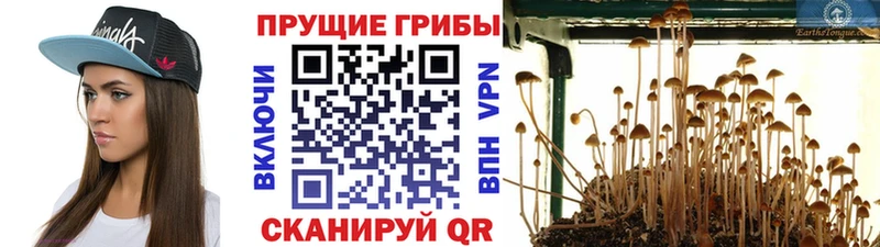 Галлюциногенные грибы мухоморы  Елабуга 
